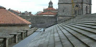 Roofs of the Cathedral